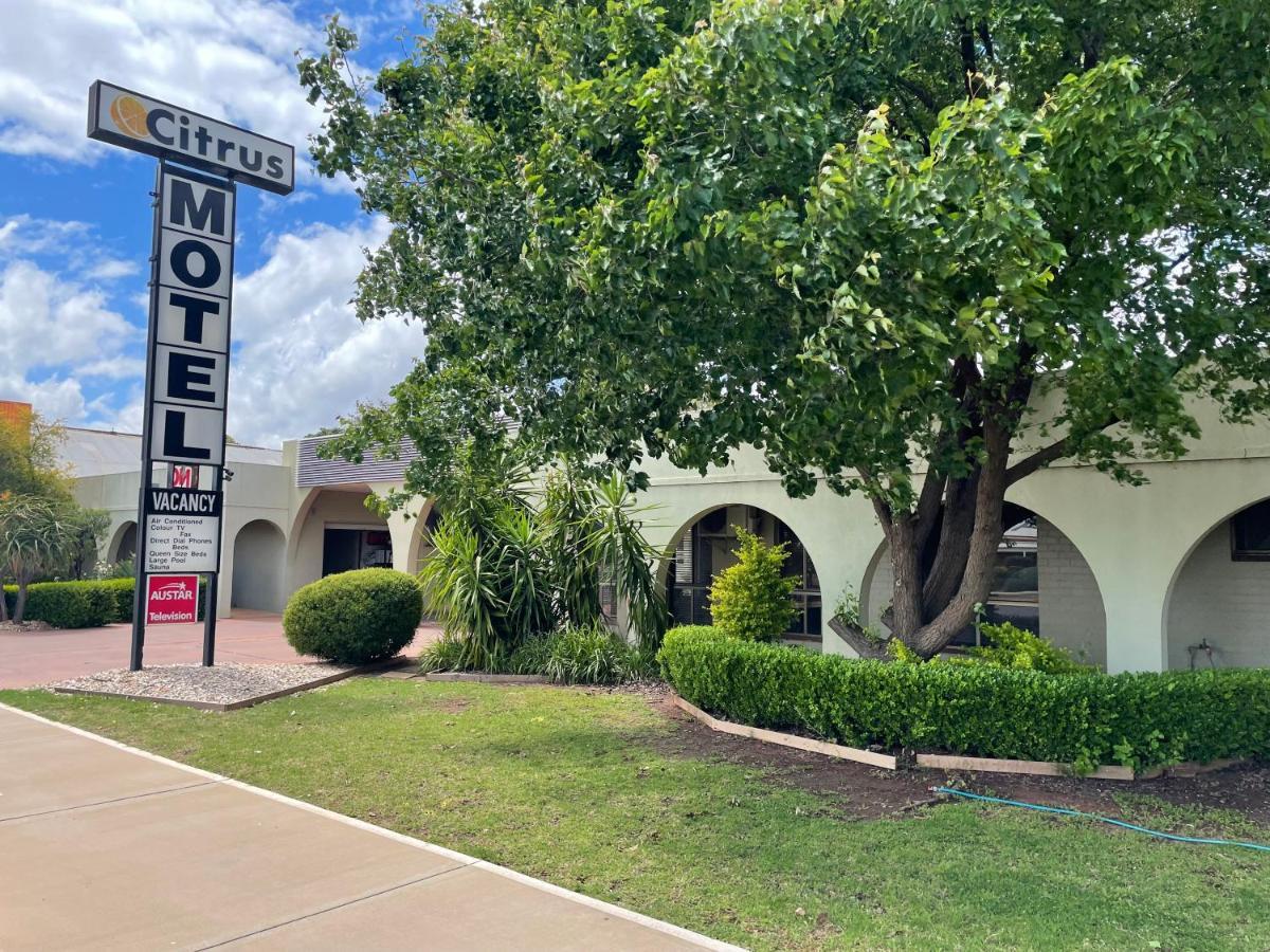 Citrus Motel Griffith Exterior photo